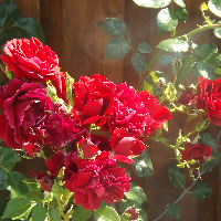 Profile avatar image for MaryK