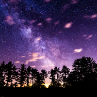 Profile avatar image for AR_Pasion