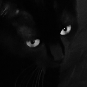 Profile avatar image for Jasper