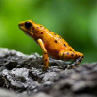 Profile avatar image for Riopeach615