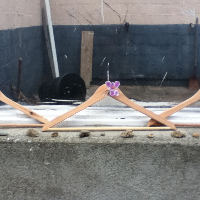 Profile avatar image for KemaraNight