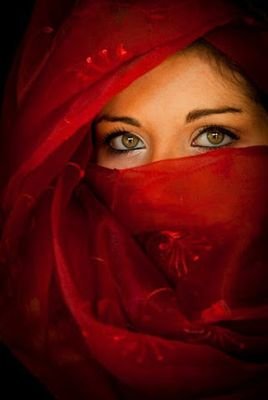 Profile avatar image for perfan3