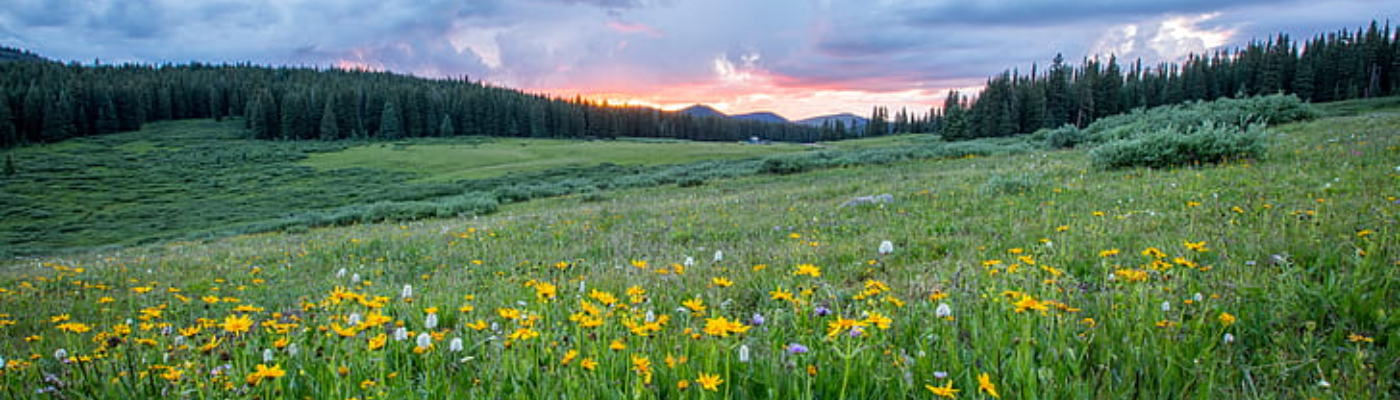 Profile banner image for JaydasJournal