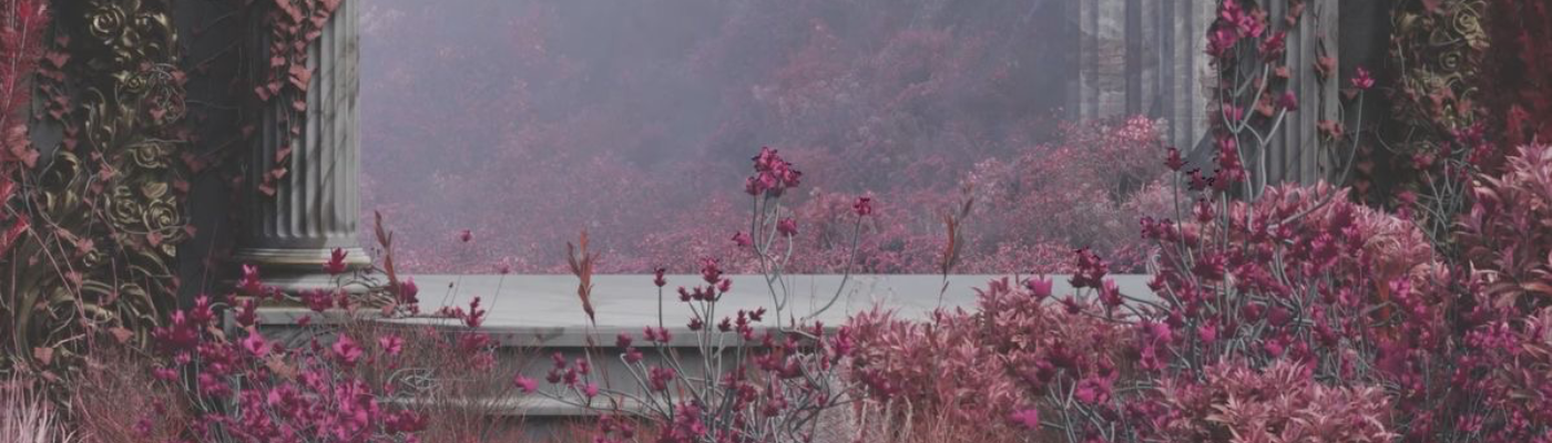 Profile banner image for ElIia