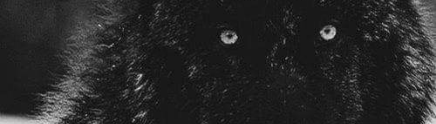 Profile banner image for Death_Rattle