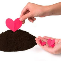 Profile avatar image for BeStillMyHeart