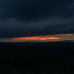 Profile avatar image for seashelldreamer