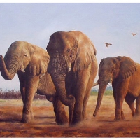 Profile avatar image for DeepC