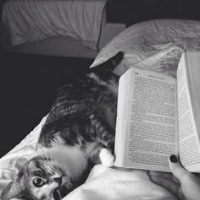 Profile avatar image for artistcomplex