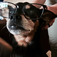 Profile avatar image for Chelsealuttrall