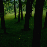 Profile avatar image for Clburdett