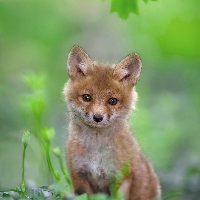 Profile avatar image for kawhitehall