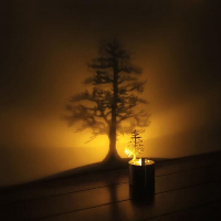 Profile avatar image for becca_ann