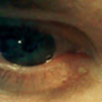 Profile avatar image for Toften