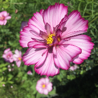 Profile avatar image for Mxddie11