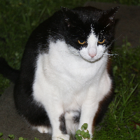 Profile avatar image for olli