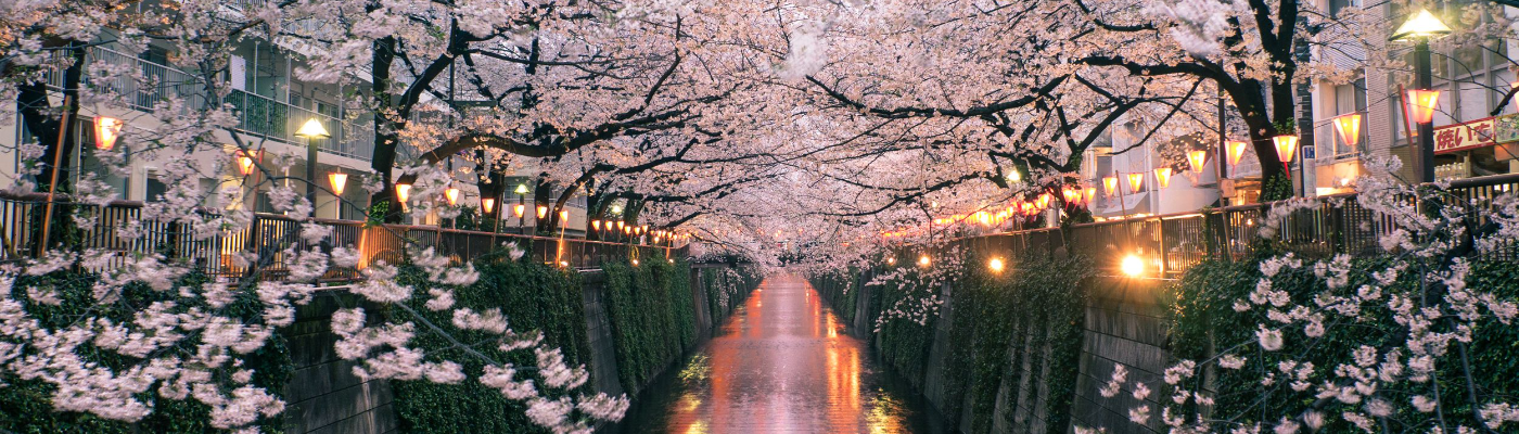 Profile banner image for Yesca