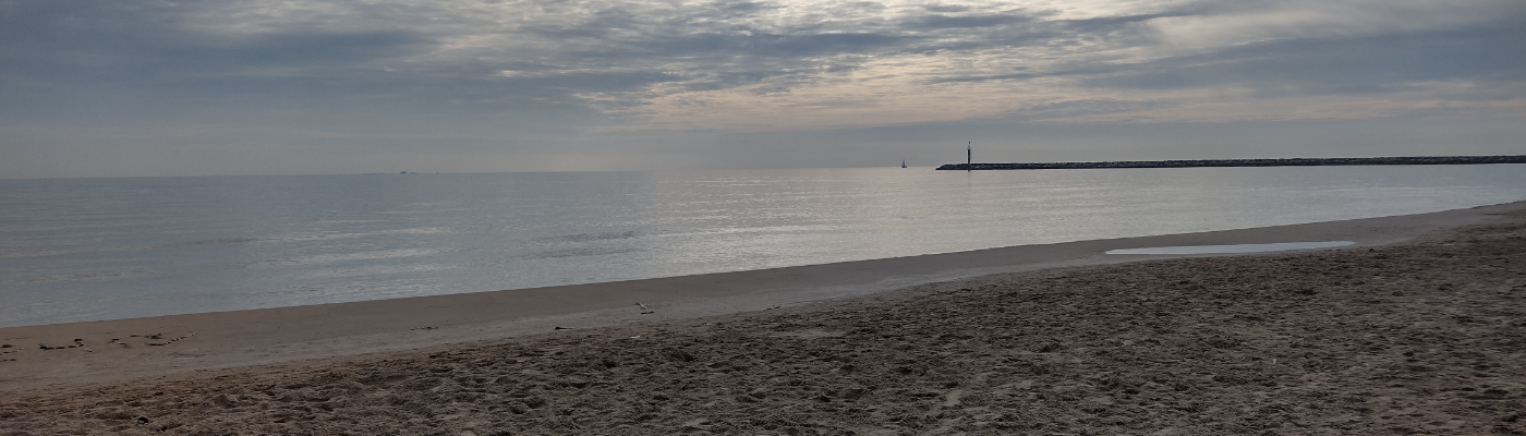 Profile banner image for Barashka