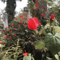 Profile avatar image for apromptaday