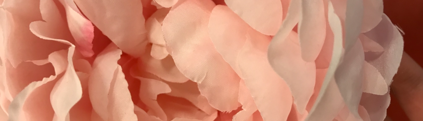 Profile banner image for Julia22