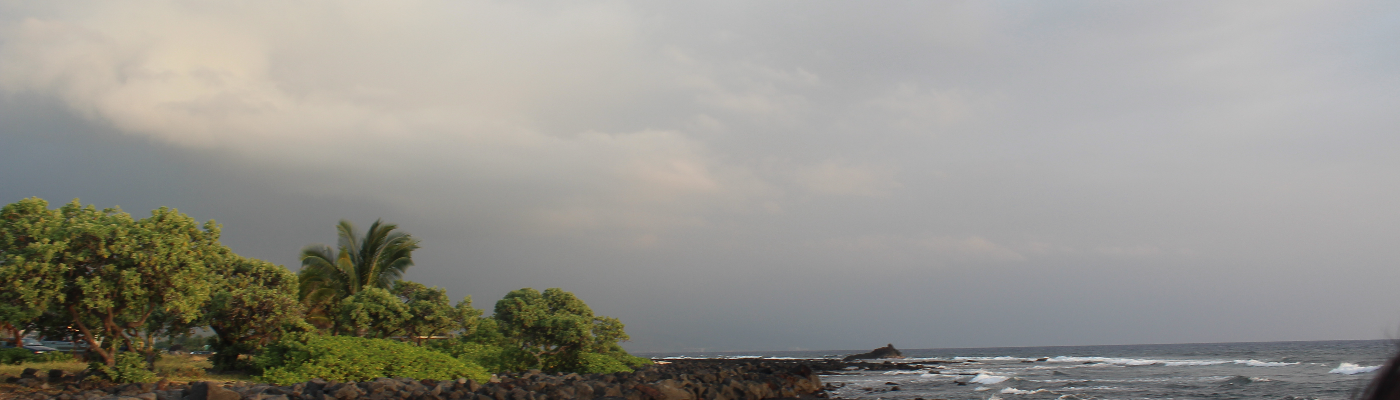 Profile banner image for KRI