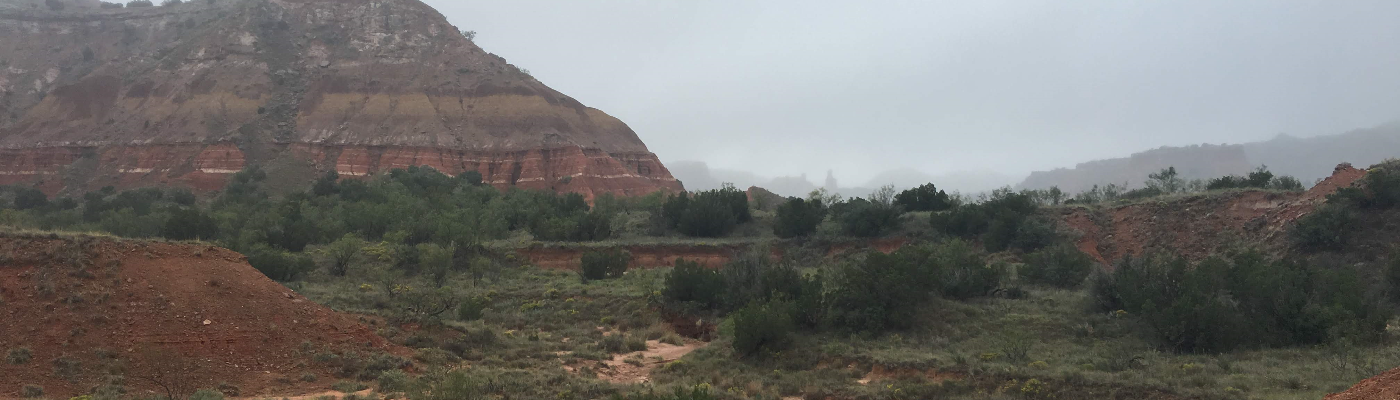 Profile banner image for JordanDanae