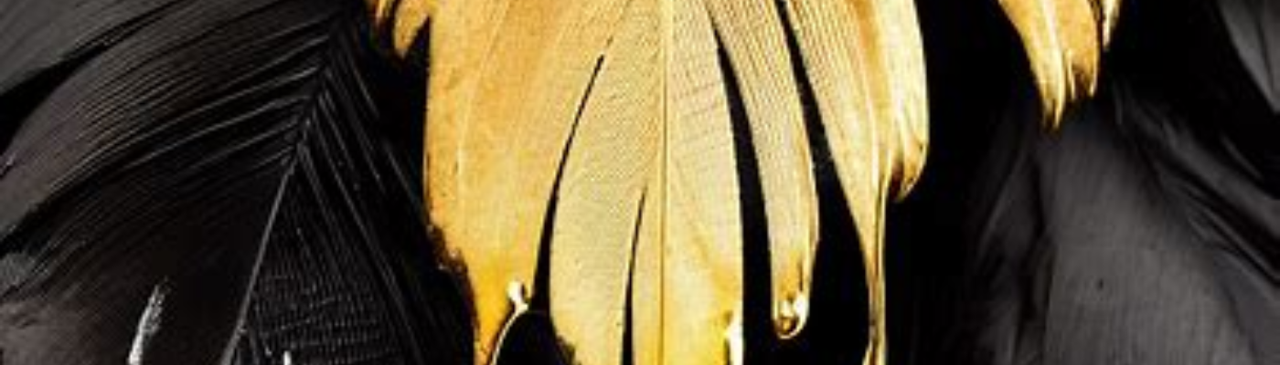 Profile banner image for MOP