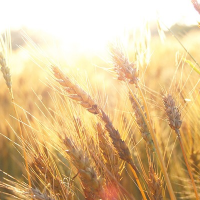 Profile avatar image for RLW