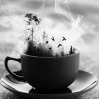 Profile avatar image for staceeBayles13