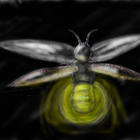 Profile avatar image for Lrose