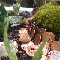 Profile avatar image for MrGreen