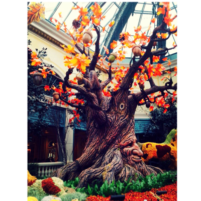 Profile avatar image for SmileyNikki