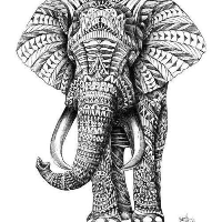 Profile avatar image for personwithapen