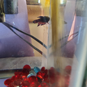 Profile avatar image for brkbillst42