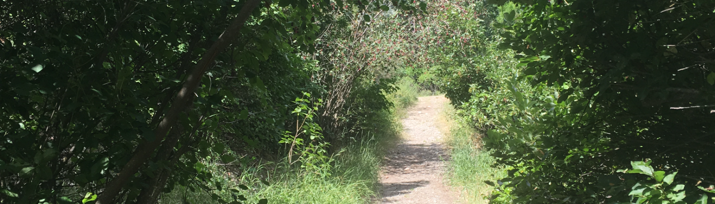 Profile banner image for AlyceBLetItBe