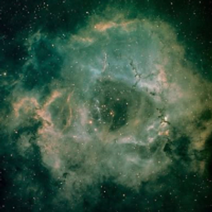 Profile avatar image for Sevenlavigne