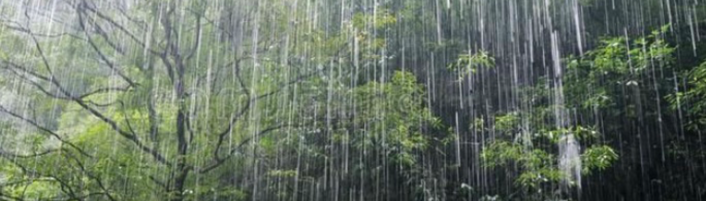 Profile banner image for KRain