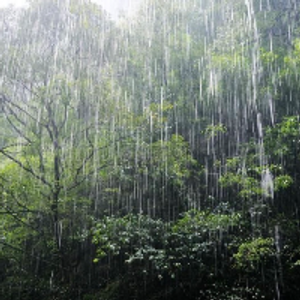 Profile avatar image for KRain