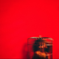 Profile avatar image for obrazyyy