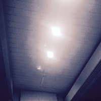 Profile avatar image for carey_ding