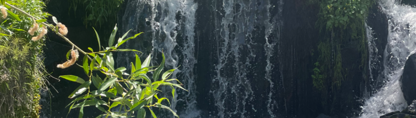 Profile banner image for EstpeGrace17