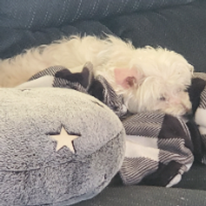 Profile avatar image for sbills23