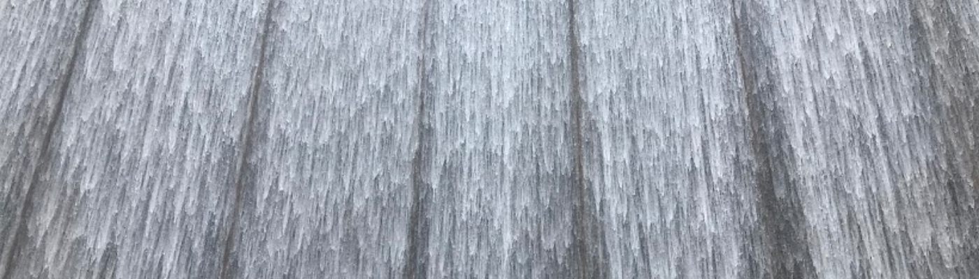 Profile banner image for Srilekha