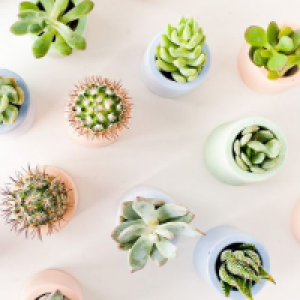 Profile avatar image for Srilekha