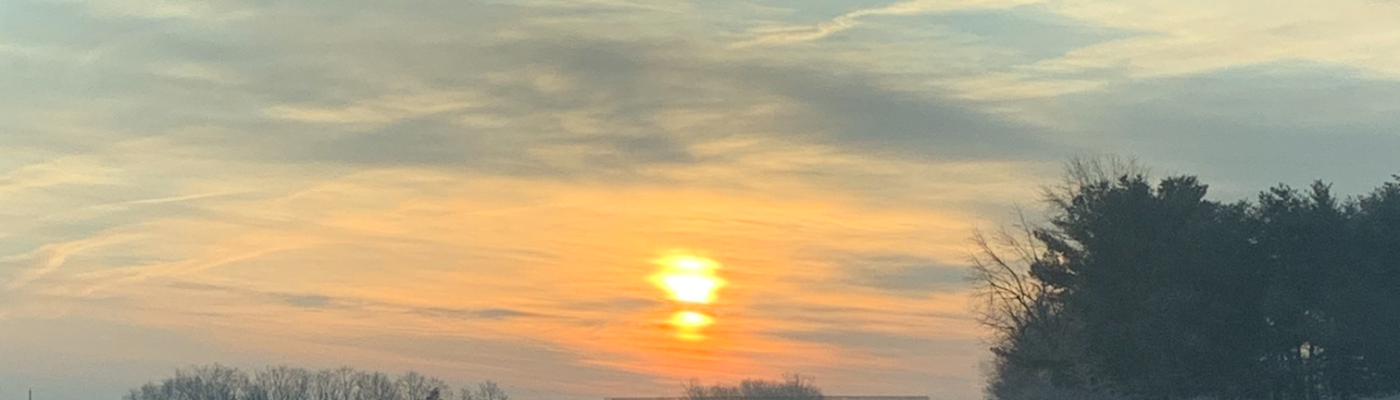 Profile banner image for silksinger