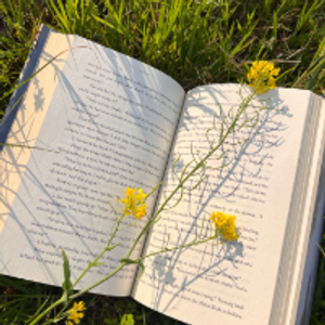 Profile avatar image for Rayniverse