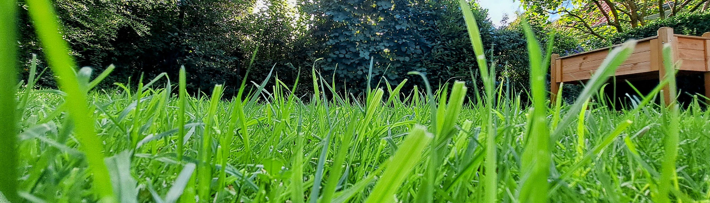 Profile banner image for annat