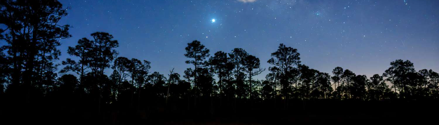 Profile banner image for XdyoX