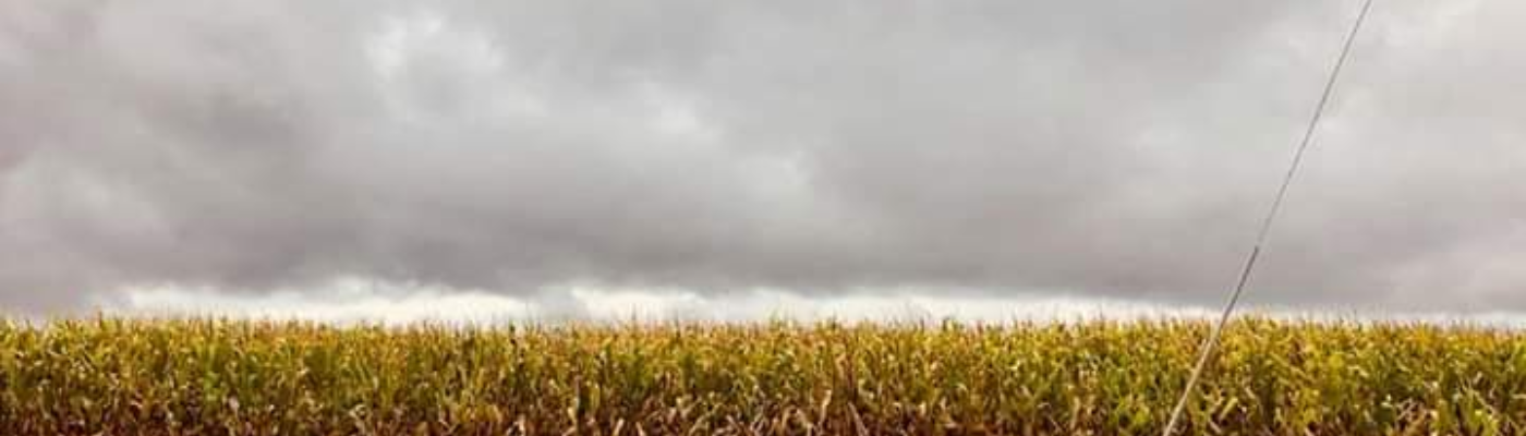 Profile banner image for Rupert