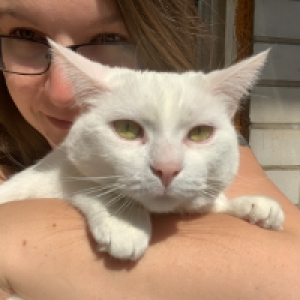 Profile avatar image for Taztok